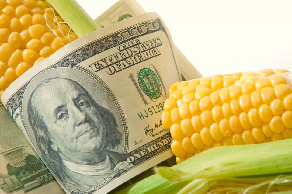 Ag Econ Ag Econ Photo